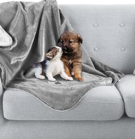 Waterproof pet blanket protecting a couch from pet hair, dirt, scratches, and everyday wear